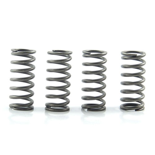 Ebc clutch springs rinf 10 - 4, rinf.