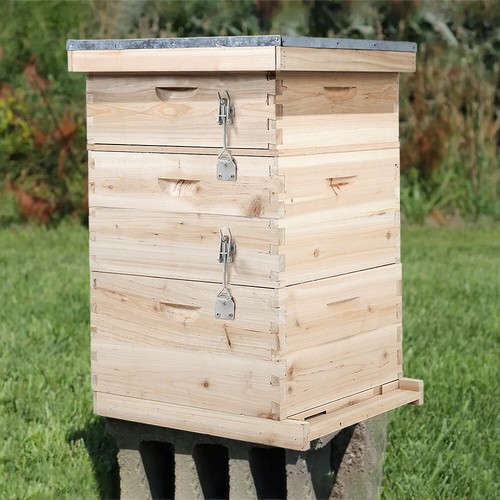 Large langstroth beehive box - large,