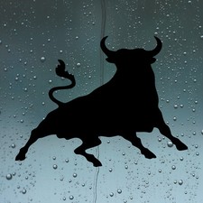 Spanish Bull Toro Funny Car