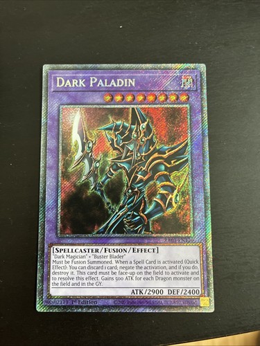 Tcg dark paladin - tcg,