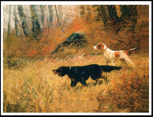 Gordon setter and - and, pointer