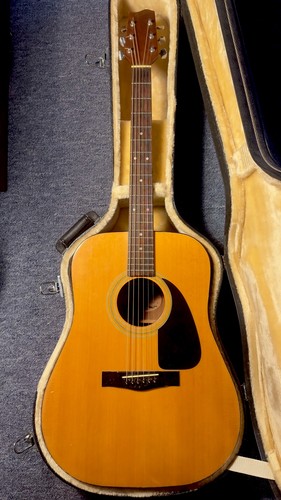 Vintage fender gemini - fender, ii