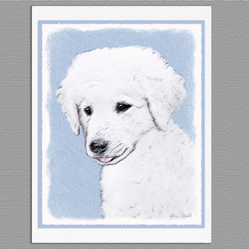 Kuvasz dog blank - 6, note