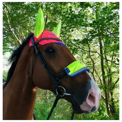 Equisafety charlotte dujardin - equisafety,