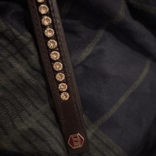 Gold Sparkly Brow Band Xfull On Brown Leather