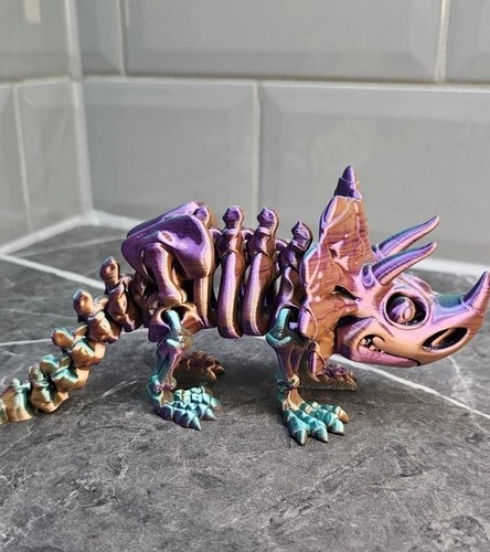 Skeleton triceratops dinosaur - skeleton,