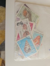 Shells Thematic Stamps All