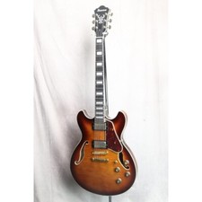 Ibanez Electric Guitar