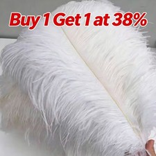 10 Pack 25-30cm Large Ostrich