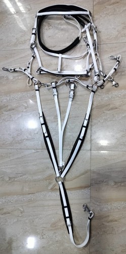 Endurance horse bridle - horse,