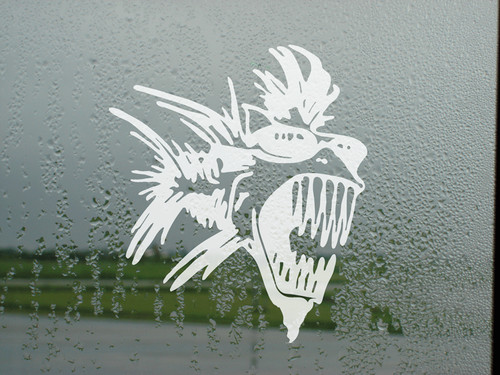 Super skeleton fish - fish, window