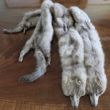 VINTAGE SILVER BLUE MINK FUR SCARF BOA W/ 4 HEADS & 4 TAILS MONOG 3' x 6.5" VGC