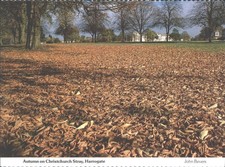 Autumn on Christchurch Stray