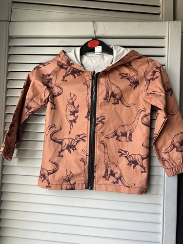 Boys dinosaur shein - boys,