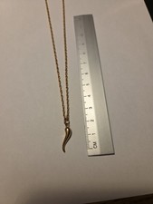 9 carat gold Horn of life Pendant and 18" Rope Chain