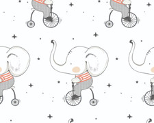 White Bicycle Elephant