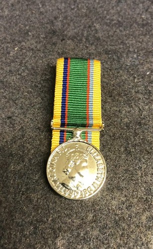Cadet forces medal court - cadet,
