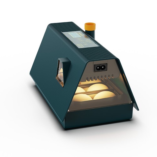 Egg house shape incubator - 10,