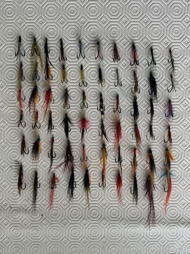 Salmon and sea - sea, trout