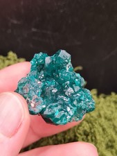 Small Dioptase Specimen -