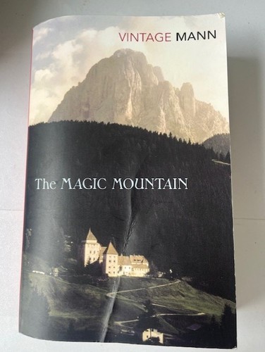 The magic mountain thomas - the, mann