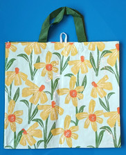 Daffodils Glossy Large
