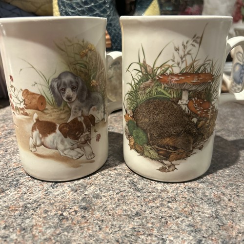 Ashdale vintage puppies - ‘puppies, &