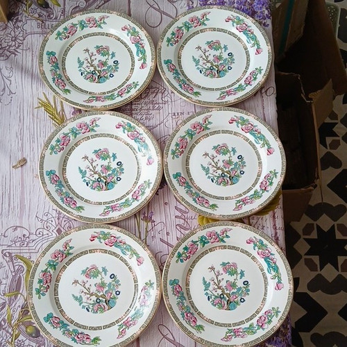 Royal falcon ironstone - falcon,