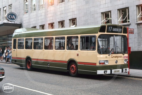 Bus photo grampian 81 - photo,