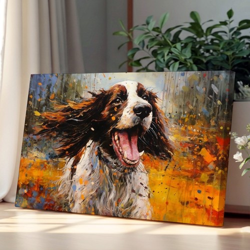 English springer spaniel - springer,