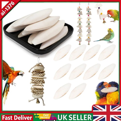 Packs long cuttlebone - 10,