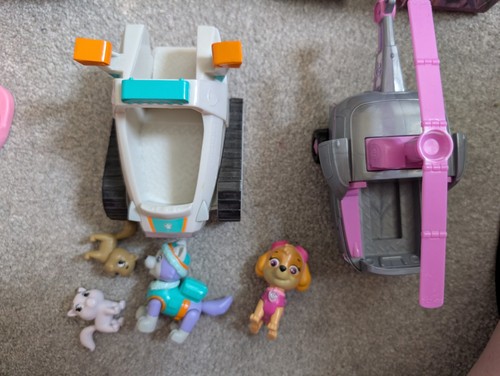 Paw patrol skye and - and, everest