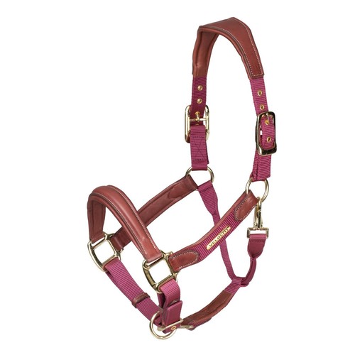 Shires velociti lusso padded - shires,