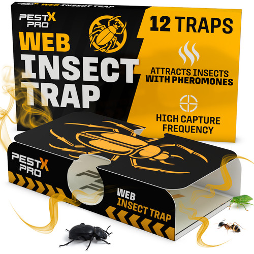 Insect traps pack - 12,