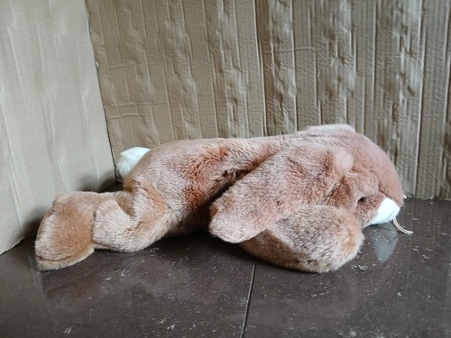 Beanie buddies ears - ty, the