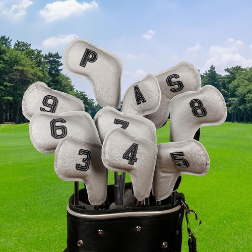 10x golf club head - 10x,