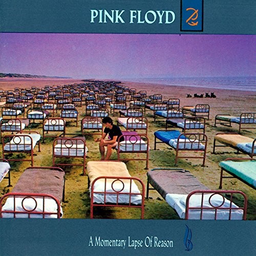 Momentary lapse reason - momentary,