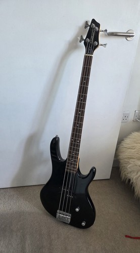 Washburn 100 electric - washburn, xb-100