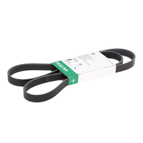 Ina fb6pk1580 rib - rib, v