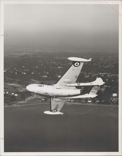 Havilland sea venom wz893 - sea,