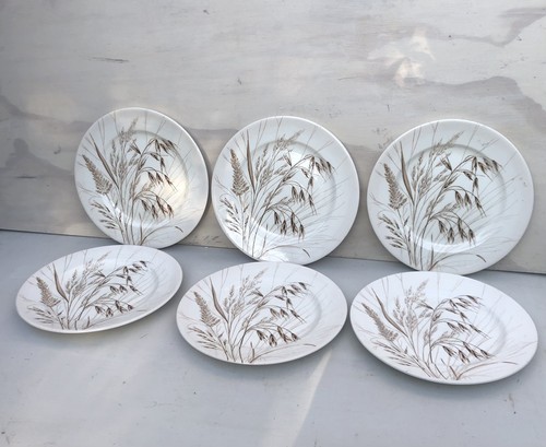 Vintage ironstone dinner - vintage,