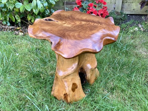 Teak root wooden table - root,