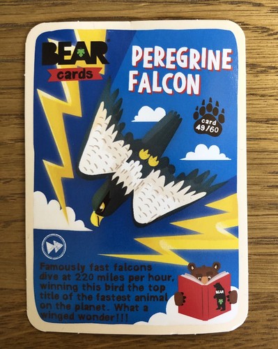 Bear brand new - bear,