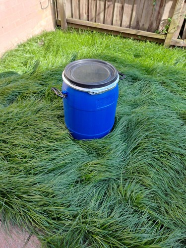 Plastic barrel with lid - , 60
