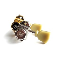 Guitar Anatomy Pro Locking