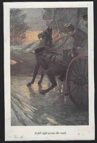 Fell right across - the, road