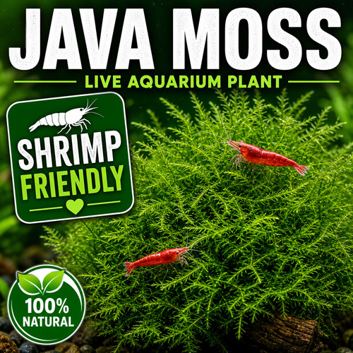 30g live java moss - 30g,