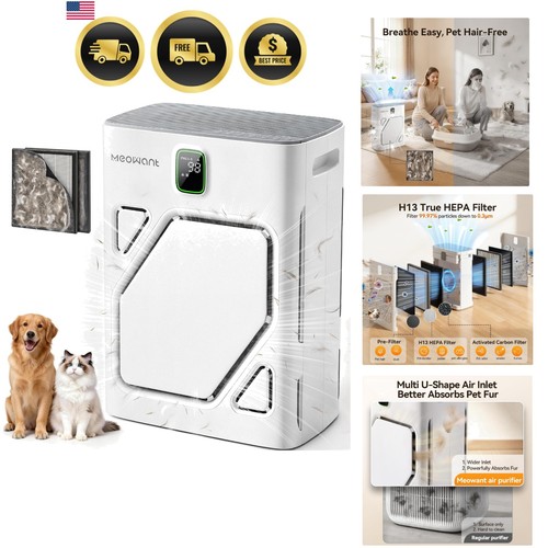 Air purifier for home - for, large