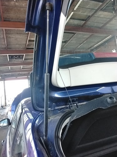 Boot tailgate support strut - support,