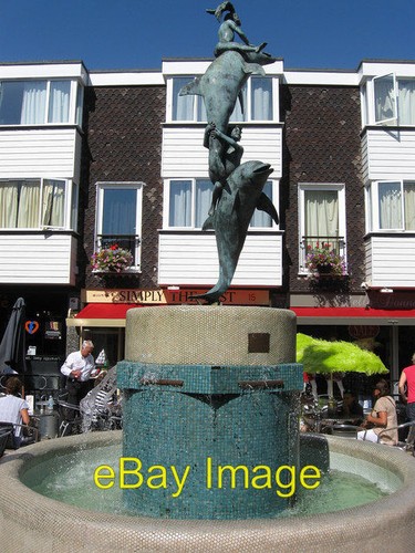 Photo 6x4 the dolphin - 6x4,